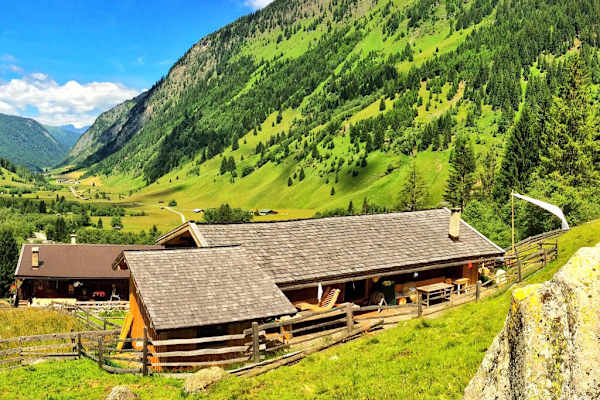 Almen im Valsertal in Tirol