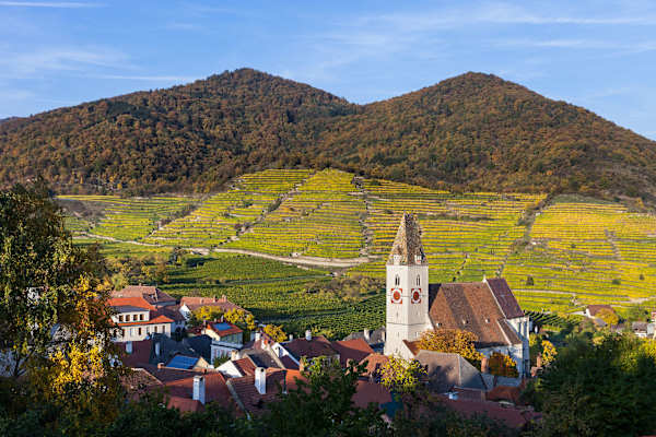 Spitz an der Donau in der Wachau
