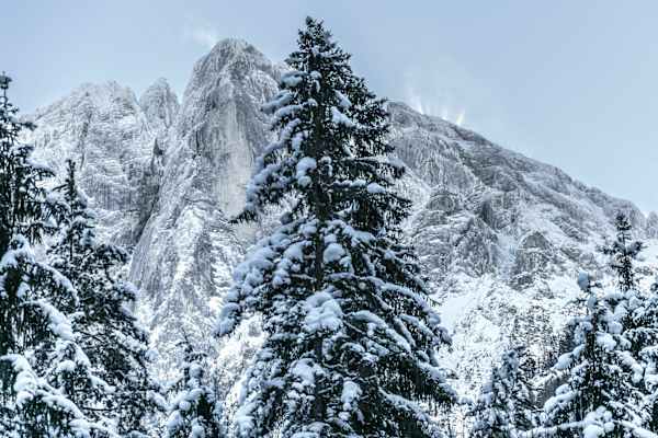 Winter im Nationalpark Gesäuse