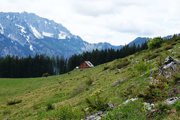 Almgebiet im Nationalpark Kalkalpen