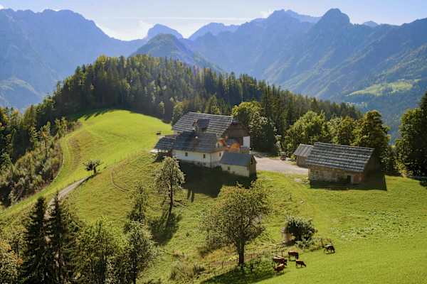 pw_36_bergwelten_die_steiner_alpen_grenzgang_im_aussersten_suden_osterreichs_7