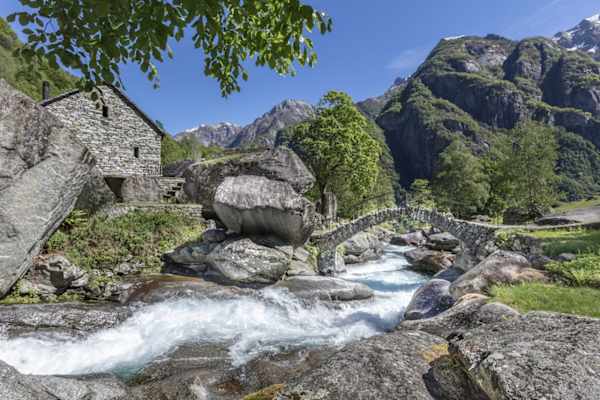 val_calnegia_val_bavona_3_medium_ascona_locarno_tourism_foto_alessio_pizzicannella