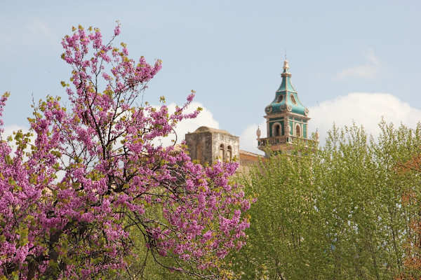 Valldemossa
