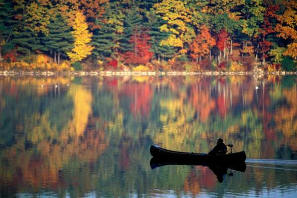 Thoreau - Walden