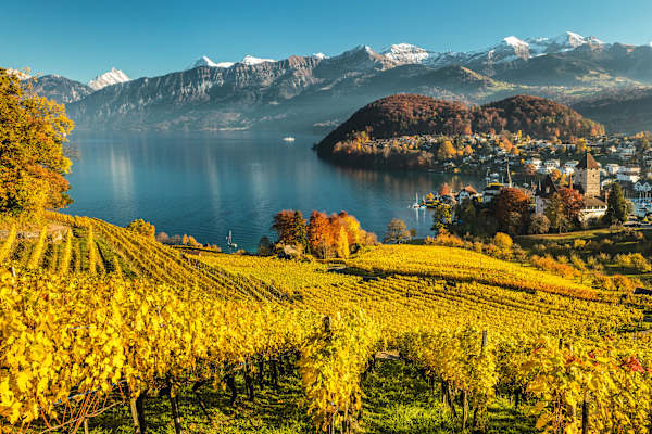 Spiez Rebberg Bern
