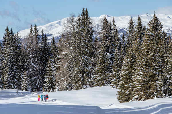 Verschneite Winterwälder rund um Kartitsch.