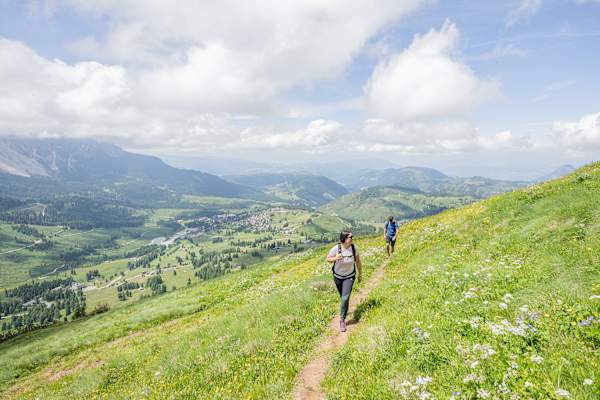 Gemütliche Anstiege durch blumenreiche Almwiesen mit toller Aussicht sind bei vielen der leichten Etappen Bestandteil der Tour.
