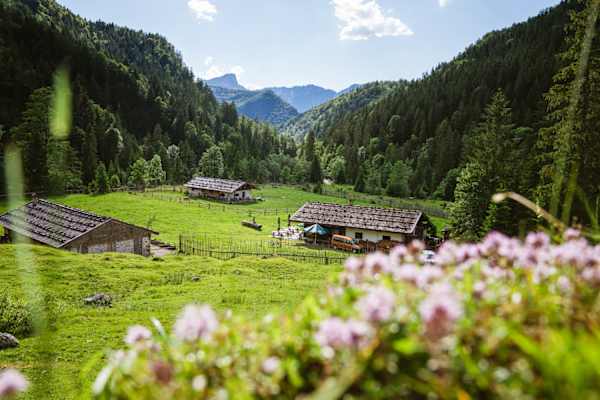 Almen in Ruhpolding