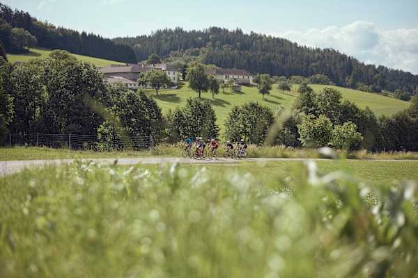 Ob auf dem Rennrad oder Mountainbike – das Mühlviertler Hügelland verspricht abwechslungsreiche Bedingungen mit herrlichen Weitblicken für alle Bike-Liebenden.