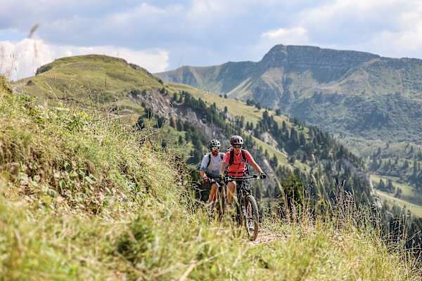 Zwei Mountainbiker auf der Latemar Ronda - auf schmalem Weg leicht aufwärts oberhalb der Baumgrenze.