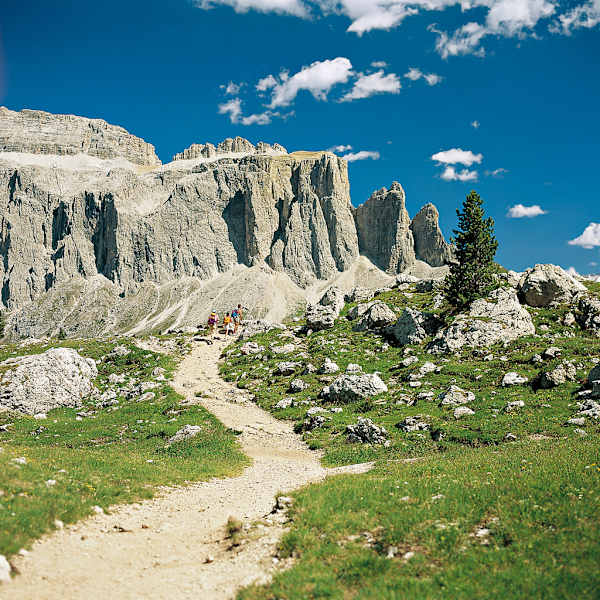 Am Rückweg von der Comicihütte zum Sellajoch. Blick gegen die Sellatürme.