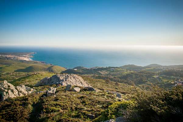 Sintra Donkey Trail
