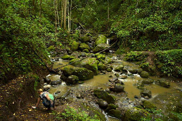 Schlucht Hawaii