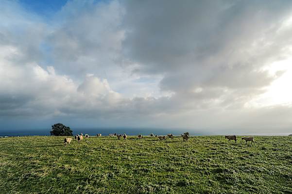 Wandern Azoren