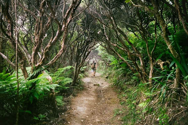 Wandern Neuseeland