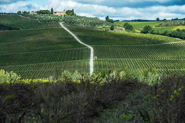L'Eroica Toskana