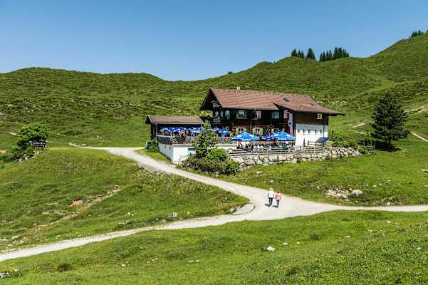 Die Walleralm