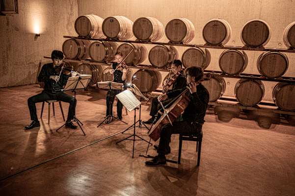 Vier Geigenspieler spielen ein Konzert im Weinkeller.
