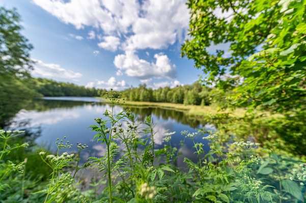 Moorsee am Roten Moor