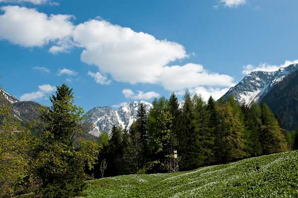 Kärnten: Bärental