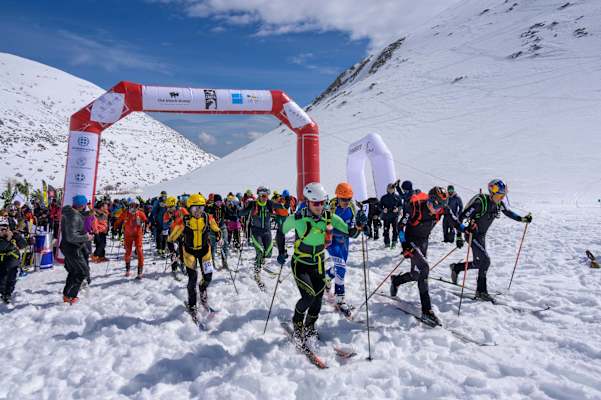 Pierra Creta 2022