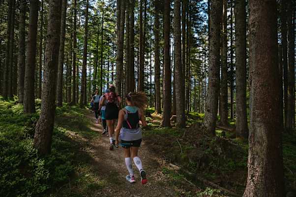 Bergwelten Trailrunning Experience 2026 Hochkönig Lauf Samstag