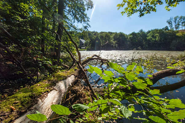 Im Naturpark Uckermärkische Seen