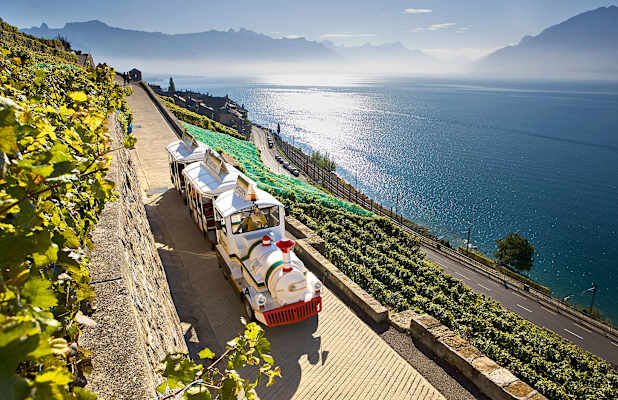 Unesco Lavaux Genfersee