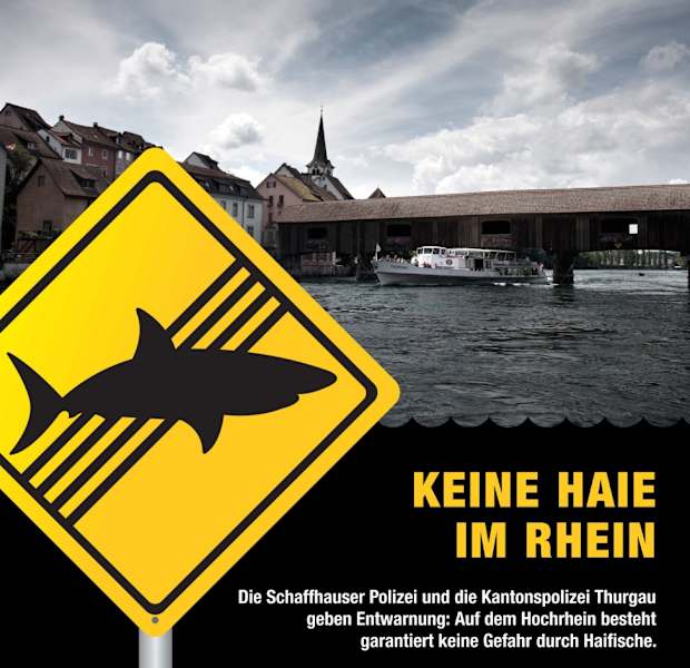 Haie im Rhein