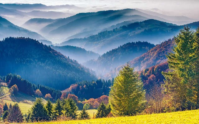Perfekte Layers mit bewaldeten Bergen, im Vordergrund eine grüne Wiese.
