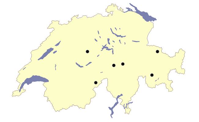 Schneetourenbus