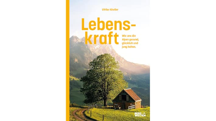 Lebenskraft