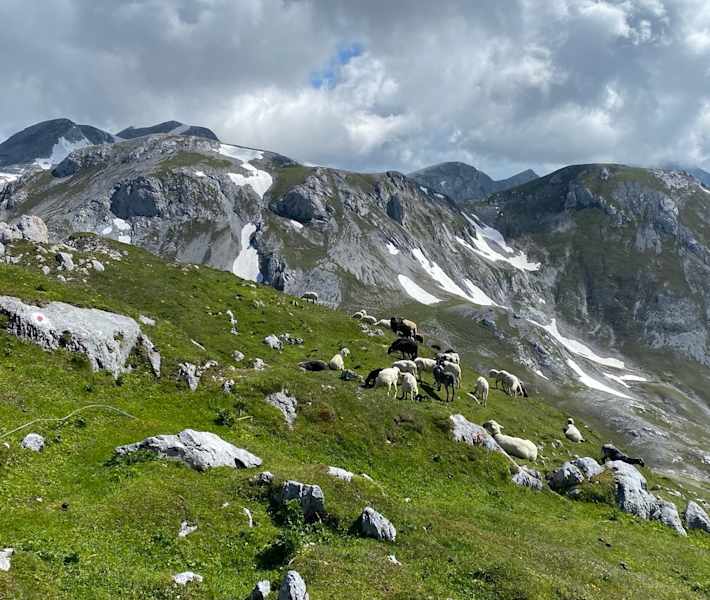 Am Weg zum Eiskogel