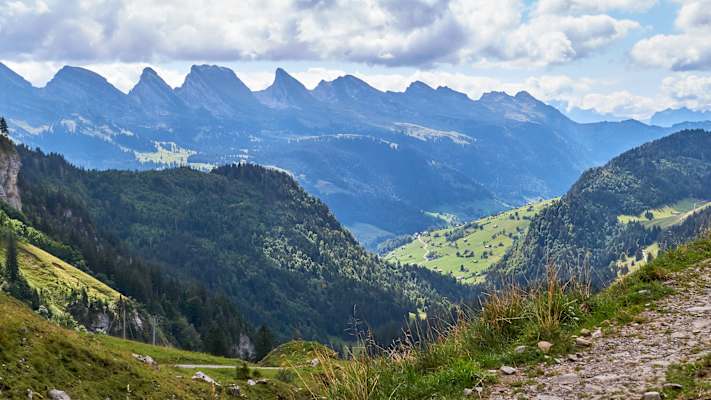 Zwei Schnauzer durchwandern die Schweiz