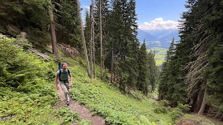Der Roseggersteig führt zunächst schattig durch den Wald bergauf.