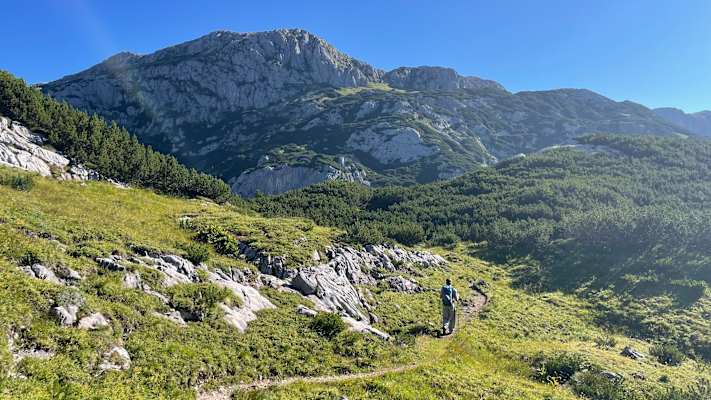 In der Landschaft „Am Stein“ wechseln Fels, Latschen und grüne Mulden.