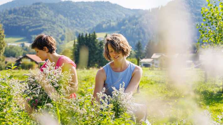 Zwei Frauen binden Kräuter in Ruhpolding.