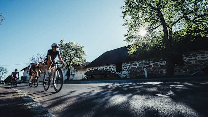 Drei Radfahrer fahren eine Straße im Mühlviertel bei Sonnenschein entlang.