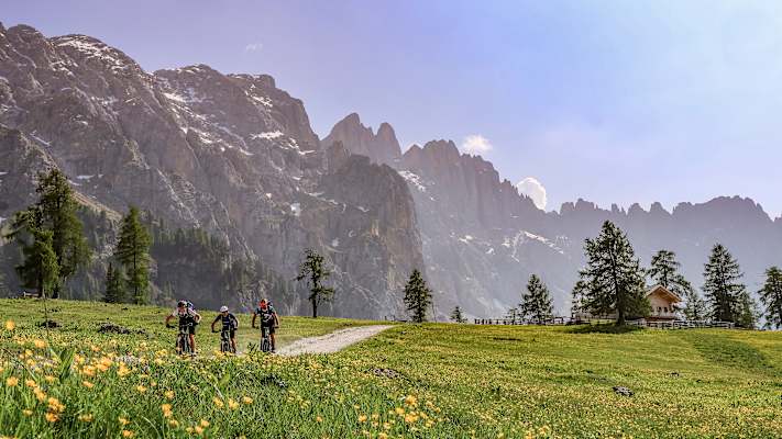 Drei Radfahrer fahren einen Weg im Eggental entlang. Hinter ihnen liegt das Dolomitenpanorama.