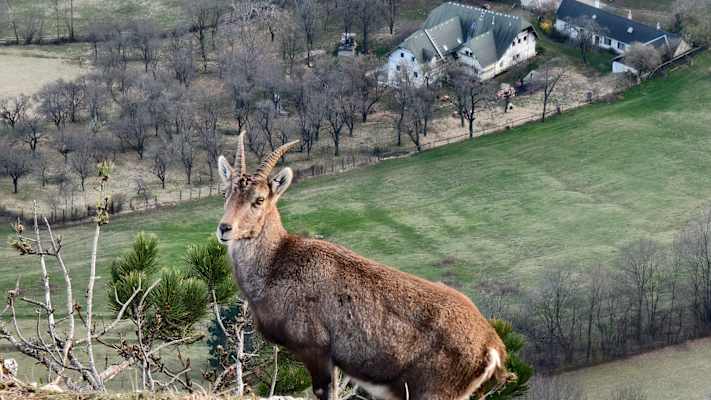 corneliamazza_img_20240219_071906_1