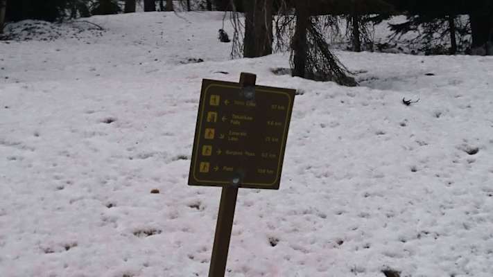 Wegweiser Yoho Pass