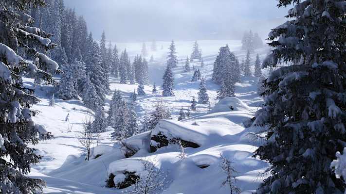Skitour auf die Schneegrubenspitze: Winterliche Landschaft der Kitzbüheler Alpen