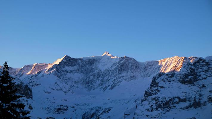 Bergkulisse bei Grindelwald: Berner Alpen