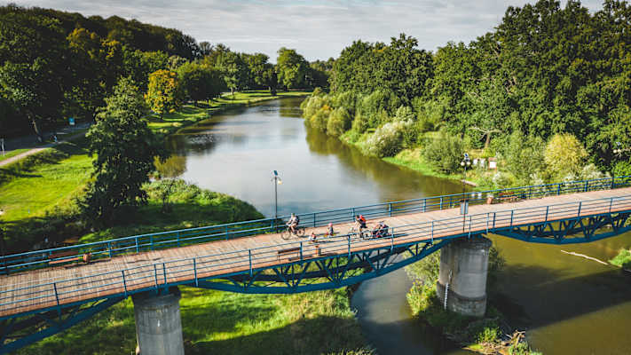 Grün leuchten die Neisseauen in Bad Muskau am Wegesrand.