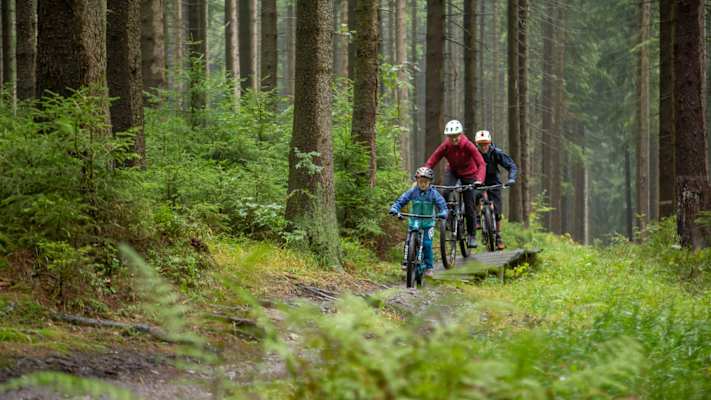 Auch kleine Biker kommen im TrailCenter Rabenberg auf ihre Kosten.