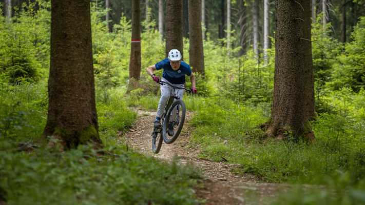 Bikeprofis heben im TrailCenter Rabenberg regelmäßig ab.