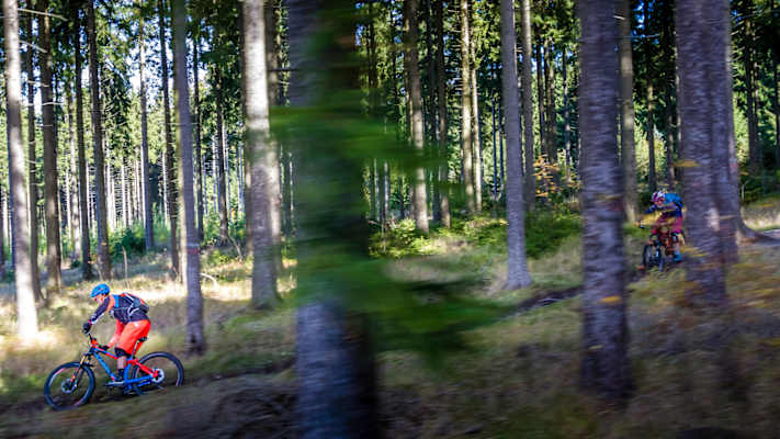 Flowig geht es auf den naturbelassenen Trails über Wurzeln dahin.