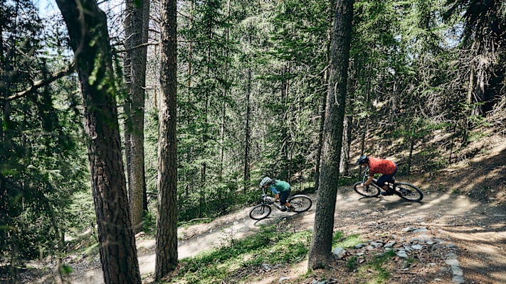 Waldstrecken für das Fahrrad in Südtirol im Wald