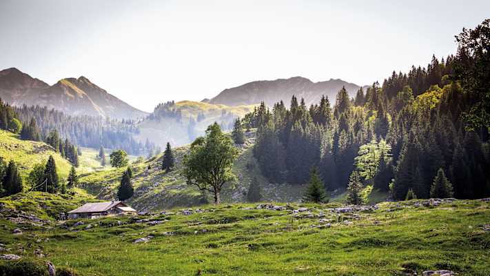 Schwarzsee Naturpark Gantrisch