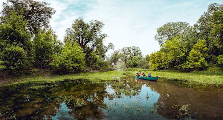 Exkursion per Boot im Nationalpark Donau-Auen